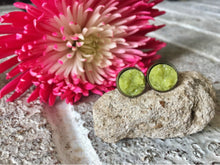 Load image into Gallery viewer, Olive Green Druzy Studs, 12mm green druzy gold, green earrings, druzy earrings, green druzy, druzy jewelry, mermaid jewelry mermaid earrings